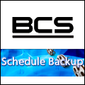BCS Schedule Backup